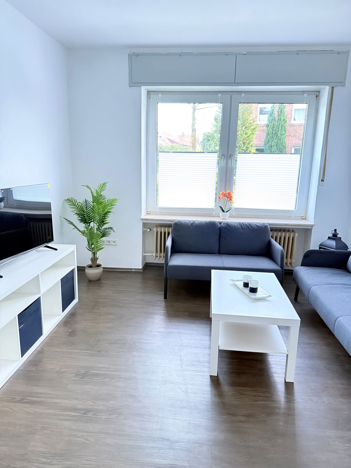 Wohnzimmer mit Sofa, Fernseher und Pflanze